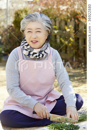 Kim, senior, woman, Korea Kim, senior, woman, Korea 36922880