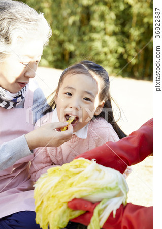 祖母，媽媽，孫女，女兒，金，韓國人 36922887