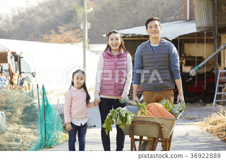 爸爸,媽媽,女兒,家庭,農村,生活 爸爸,媽媽,女兒,家庭,農村,生活 36922889