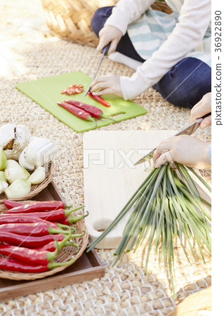 Adults, women, kimchi, kimchi, life 36922890