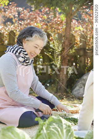 成年人，婦女，泡菜，泡菜，生活 36922910