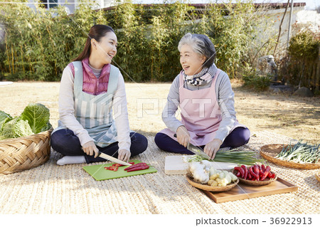成年人，婦女，泡菜，泡菜，生活 36922913