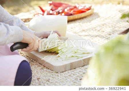 手，圓白菜泡菜，kimjang，特寫鏡頭 36922941