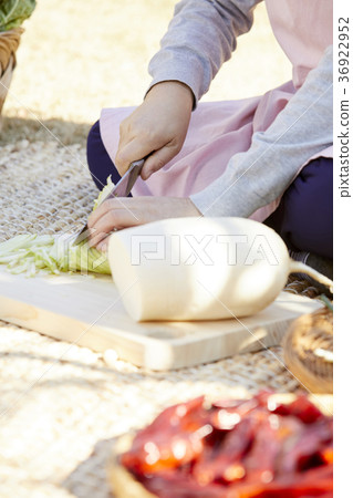 Hand, cabbage kimchi, kimjang, close-up 36922952