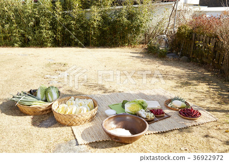 蔬菜,配料,白菜泡菜,泡菜 蔬菜,配料,白菜泡菜,泡菜 36922972