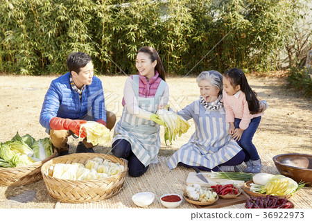 Family, Korean, Kimchi, Kimjang, Life Family, Korean, Kimchi, Kimjang, Life 36922973
