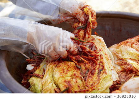 Hand, cabbage kimchi, kimjang, close-up 36923010