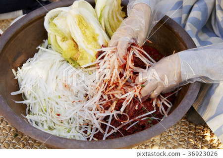 Hand, cabbage kimchi, kimjang, close-up Hand, cabbage kimchi, kimjang, close-up 36923026