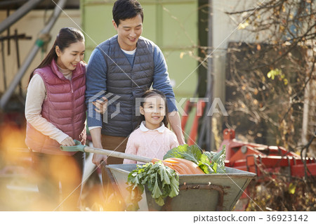爸爸,媽媽,女兒,家庭,農村,生活 爸爸,媽媽,女兒,家庭,農村,生活 36923142
