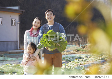 爸爸，媽媽，女兒，家庭，農村，生活 36923145