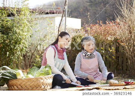 成年人,婦女,泡菜,泡菜,生活 成年人,婦女,泡菜,泡菜,生活 36923146