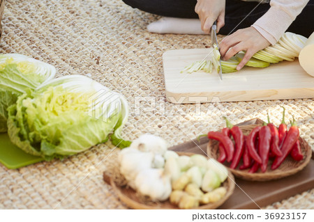 手，圓白菜泡菜，kimjang，特寫鏡頭 36923157