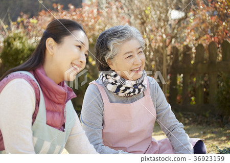 成年人，婦女，泡菜，泡菜，生活 36923159