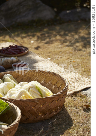 蔬菜,配料,白菜泡菜,泡菜 蔬菜,配料,白菜泡菜,泡菜 36923195