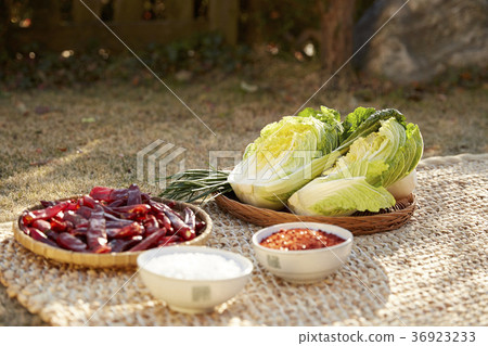 蔬菜，配料，白菜泡菜，泡菜 36923233