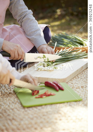 成年人,婦女,泡菜,泡菜,生活 成年人,婦女,泡菜,泡菜,生活 36923248