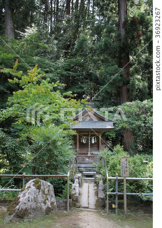 Setsube Shrine of Oshika Shrine Itsukushima Shrine 36923267