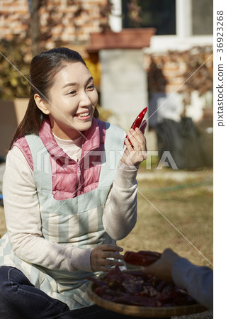 成人，女人，成分，Kimjang，韓國 36923268