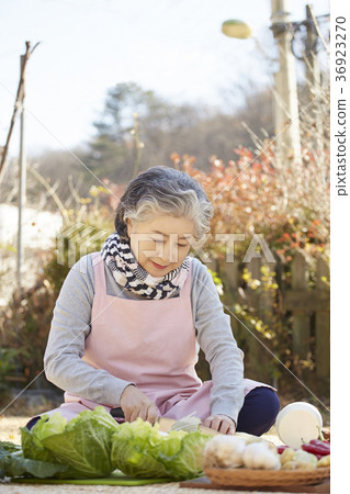 金，高級，女，韓國 36923270