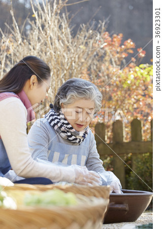 Adults, women, kimchi, kimchi, life 36923301