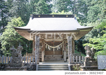 Oshika Shrine Shiba Inu 36923407