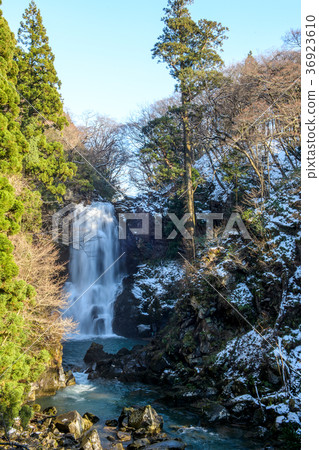 Nao Shirataki Winter秋田縣 36923610