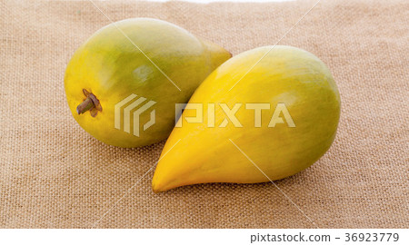 Pouteria campechiana isolated on the white 36923779