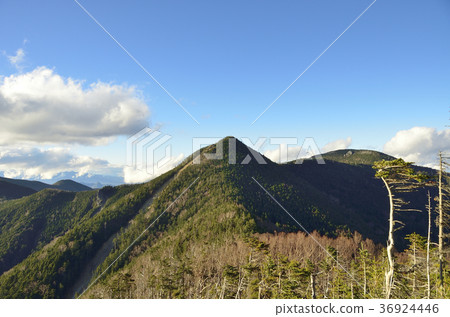 Kobayoshinagatake 36924446