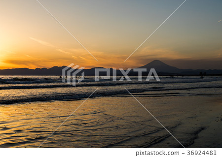 菅沼海岸富士山日落太陽衝浪者 36924481