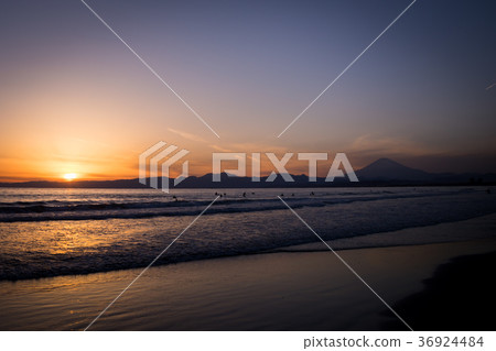 菅沼海岸富士山日落太陽衝浪者 菅沼海岸富士山日落太陽衝浪者 36924484