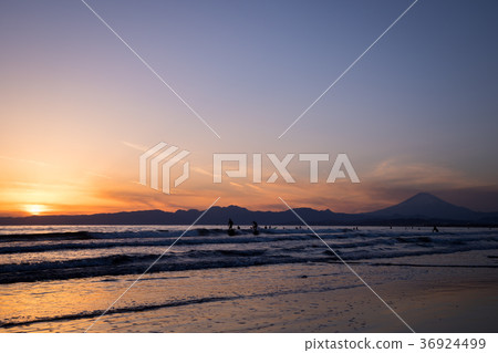 菅沼海岸富士山日落太陽衝浪者 36924499