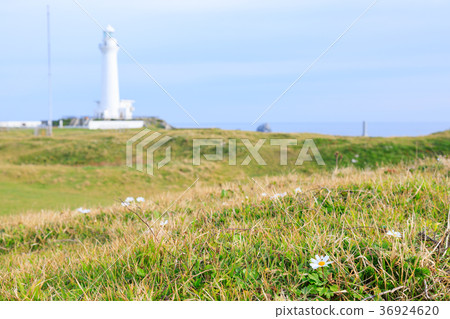 Ashiyazaki Lighthouse Blue Sky 36924620