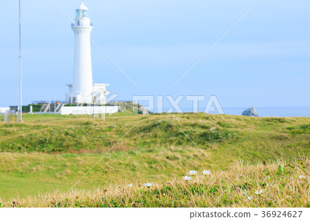Ashiyazaki Lighthouse Blue Sky Ashiyazaki Lighthouse Blue Sky 36924627