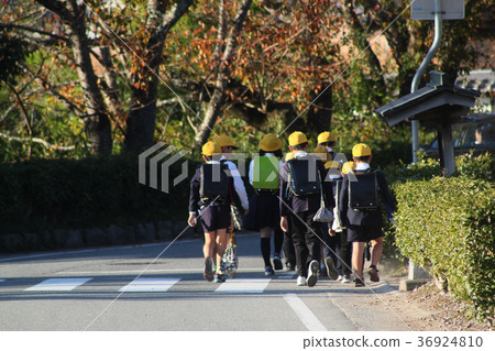 小學生的學校之路 36924810