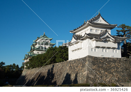 Tenshu和名古屋城堡 Tenshu和名古屋城堡 36925426