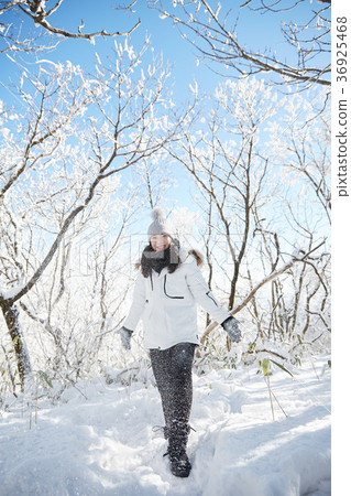 女人，冬天，雪，山 36925468