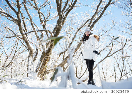 女人，冬天，雪，山 36925479
