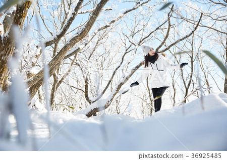 Woman, winter, snow, Mt. 36925485