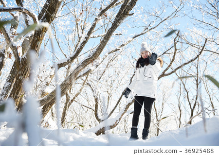Woman, winter, snow, Mt. 36925488