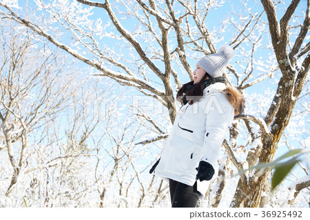 Woman, winter, snow, Mt. 36925492