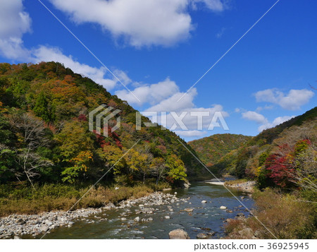 Hyogo · Mukogawa Valley 36925945
