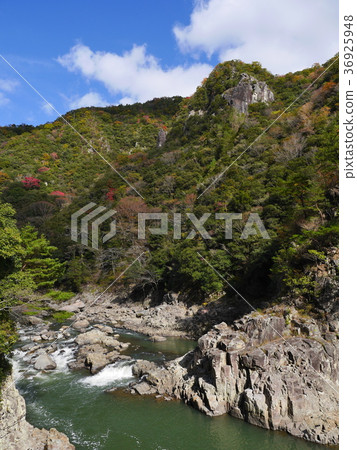 Hyogo · Mukogawa Valley 36925948