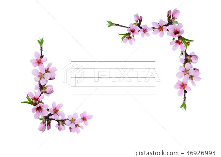 Spring peach twigs corner arrangements Spring peach twigs corner arrangements 36926993