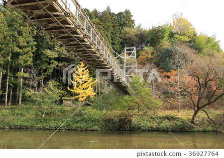 路站Karin懸索橋 36927764