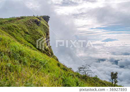 The Mist in the Morning at Chiangrai Thailand 36927893