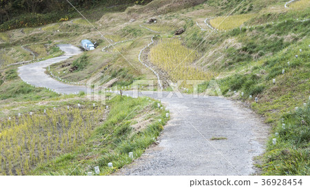 Falling farm road Falling farm road 36928454