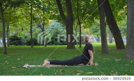The young beautiful girl engaged in yoga 36928926