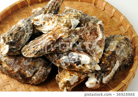 Raw oysters Raw oysters 36928988