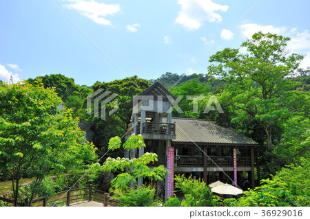 Taiwan, Hsinchu, Emei, Tree, Xiexin Tea House, Sanguo National Scenic Area, Flowers, Petals, Blossom, Plants, Special, Tea House, Architecture Taiwan, Hsinchu, Emei, Tree, Xiexin Tea House, Sanguo National Scenic Area, Flowers, Petals, Blossom, Plants, Special, Tea House, Architecture 36929016