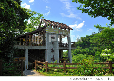 Taiwan, Hsinchu, Emei, Tree, Xiexin Tea House, Sanguo National Scenic Area, Flowers, Petals, Blossom, Plants, Special, Tea House, Architecture Taiwan, Hsinchu, Emei, Tree, Xiexin Tea House, Sanguo National Scenic Area, Flowers, Petals, Blossom, Plants, Special, Tea House, Architecture 36929019